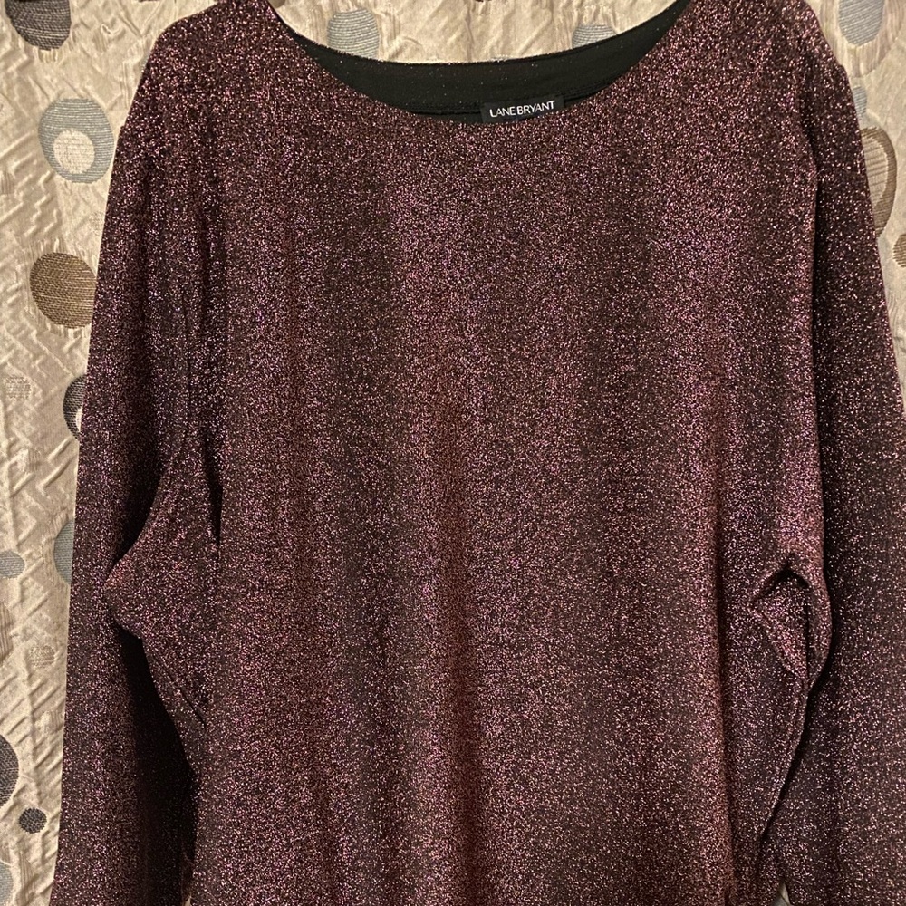 Plus size Lane Bryant shimmery blouse. Size 26/28. NWT!